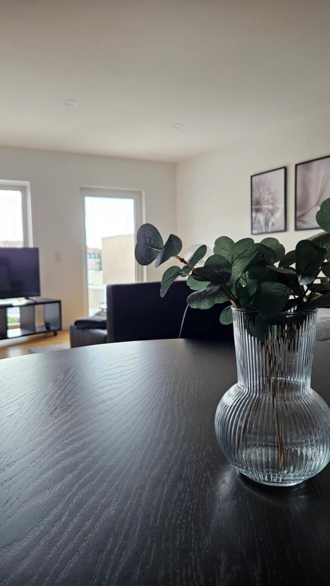 Ku28 One - Modern Und Ruhig In Zentraler Lage Apartment Bamberg